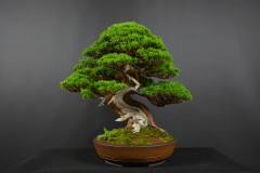 68-Szabo_Itoigawa