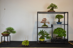 75-Lempel_shohin