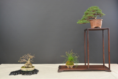 Wagner_shohin