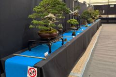 216630d7-5c97-4f40-a503-d61165e73237