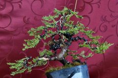 I.miesto-Andrej-Wagner-scaled