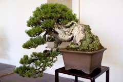 DSF2026