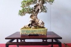 IMG_20220618_094432