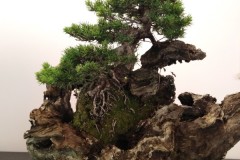 IMG_20220618_095710