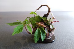 IMG_20220618_100337
