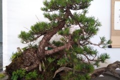 IMG_20220618_100950
