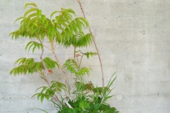 IMG_20220618_113422