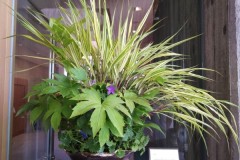 IMG_20220618_113617