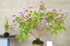 IMG_20220618_113645