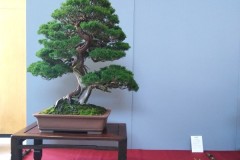 IMG_20220618_113917