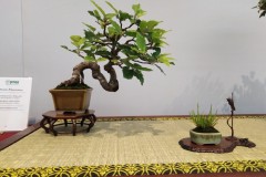 IMG_20220618_121329