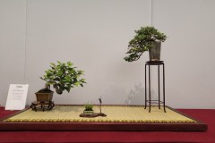 IMG_20220618_121341