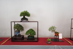 IMG_20220618_121554