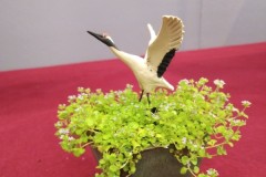 IMG_20220618_122130