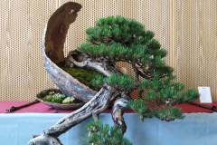 IMG_20220618_123252