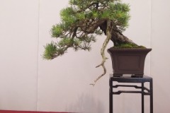 IMG_20220618_151934
