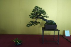 IMG_20220626_182215