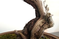 IMG_20220626_185809