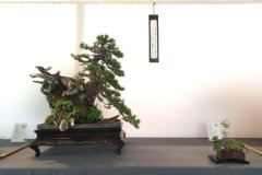 IMG_20220627_083110