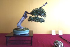 IMG_20220627_083423