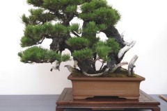 IMG_20220627_085058
