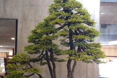 IMG_20220627_085338