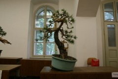 exibicia05