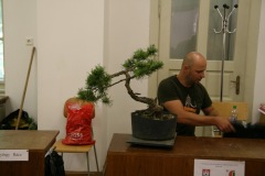 exibicia07