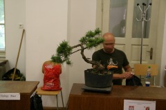 exibicia08