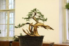 img_9883