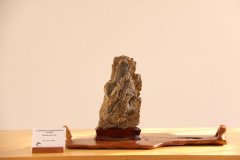 ocenene12