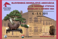 program