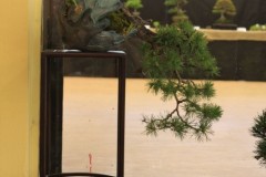 img_0352