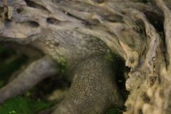 img_0535