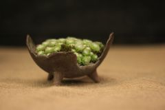 img_0551