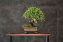 img_0552