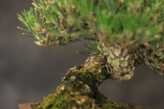 img_0553