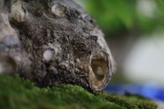 img_0569_0