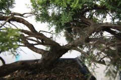 img_0579_0