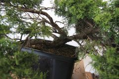 img_0587_0