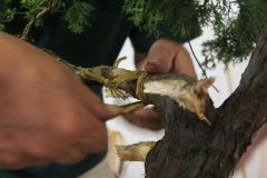 img_0628_0