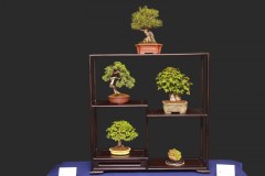 Juraj-Szabo-shohin