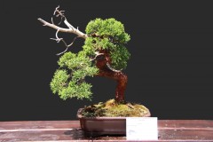 Marian-Pekarik-shohin