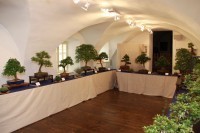 thumbs_IMG_3697