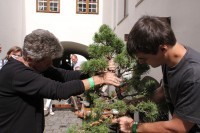 thumbs_IMG_3837