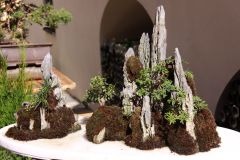 IMG_3975