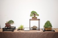 thumbs_Rene-Lempel-kifu-regal-1