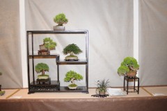 Rene-Lempel-Shohin-regal