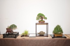 Rene-Lempel-kifu-regal-1