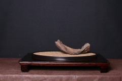 suiseki-Vlado-Kamocsai